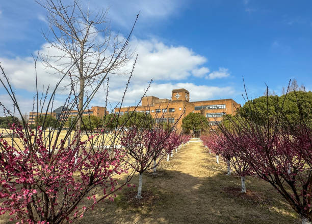 Campus of Ningbo University in Zhejiang