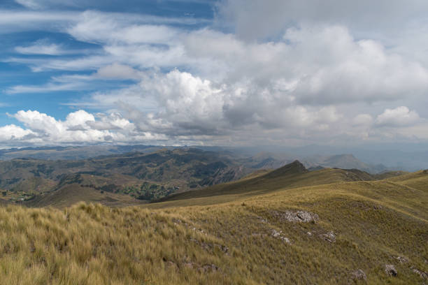 a mountain range with yellow grass, distant mountains and forests with cloudy sky in the background