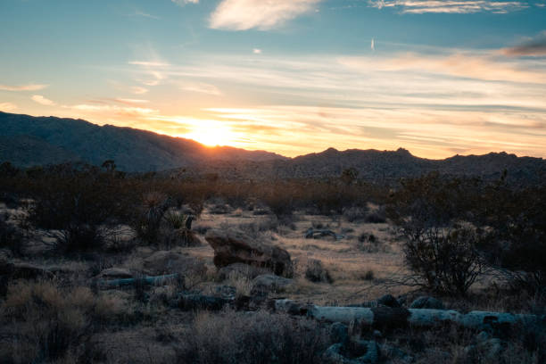 istock Joshua Tree National Park Sunset 2151783917