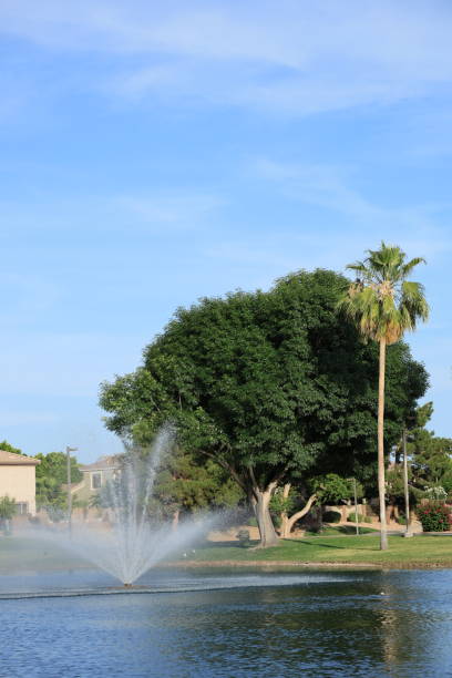 istock South Lake in Dos Lagos Park, Glendale, AZ 2151790184