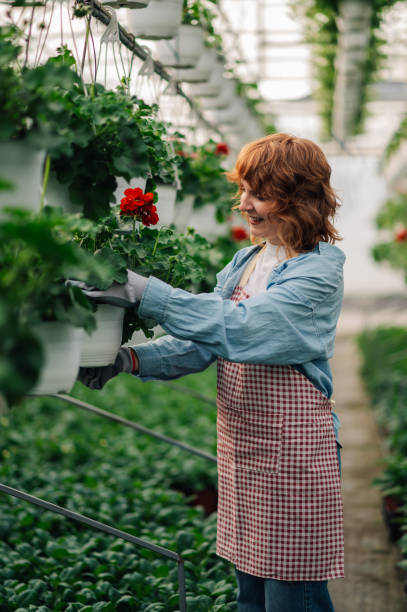 istock Happy botanist adjusting irrigation system on flowers at hothouse. 2151795842