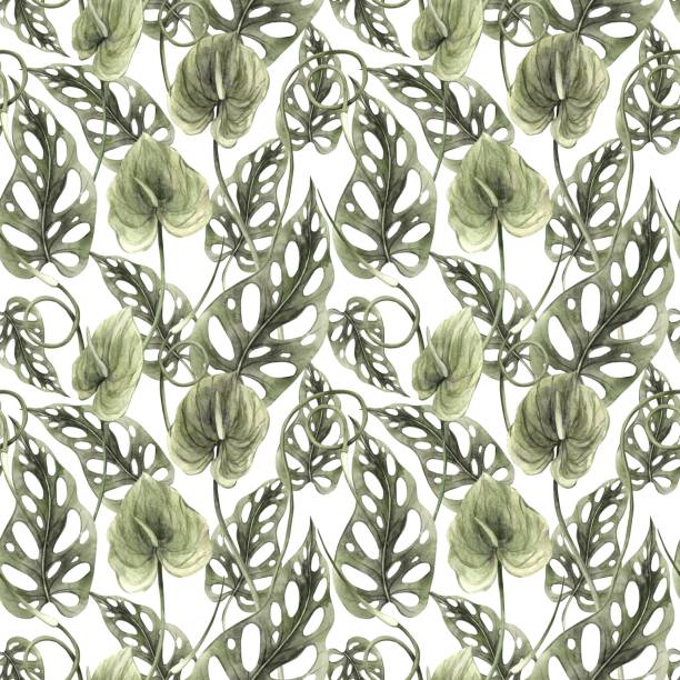 istock Monstera and anthurium flower, pattern of green tropical plants on a white background. Watercolor realistic pattern. Botanical illustration for textiles, cards, weddings and holidays 2151796005