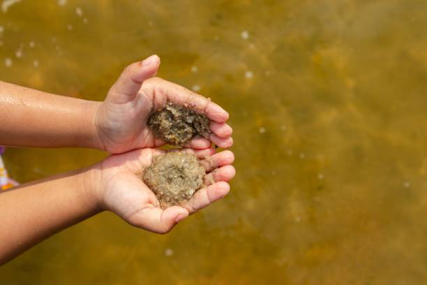 istock Child's hands holding beach sand on tropical beach 2151804662