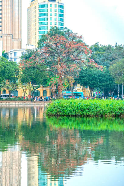 istock Blooming bombax ceiba branches at Hoan Kiem lake. 2151811872