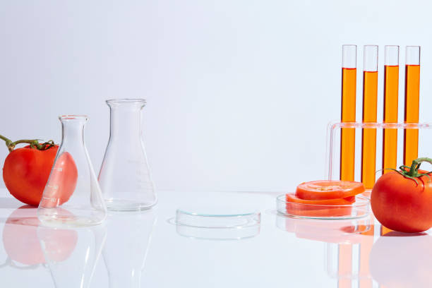 Various type of lab glassware include test tube filled by tomato extract, test tube rack, empty erlenmeyer flask and a blank transparent podium in the middle, decorated by red color of ripe tomato