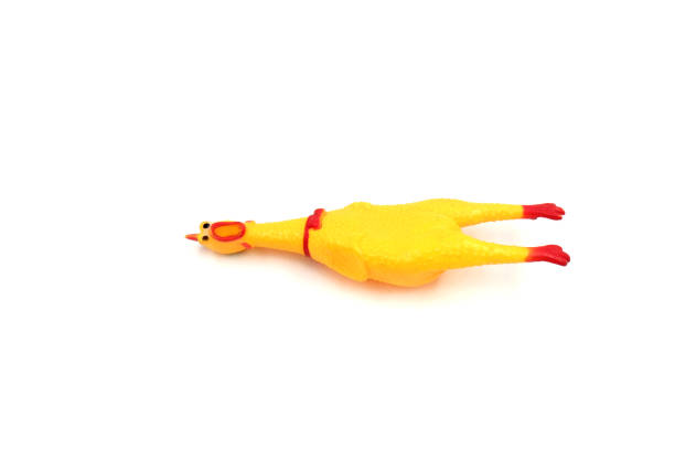 istock cute rubber chicken toy on white background 2151819029