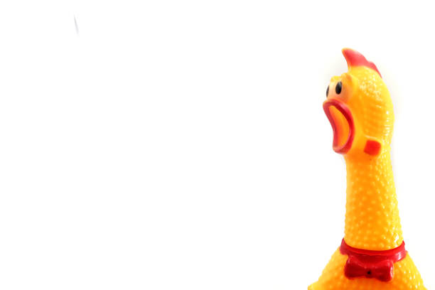 istock cute rubber chicken toy on white background 2151819050