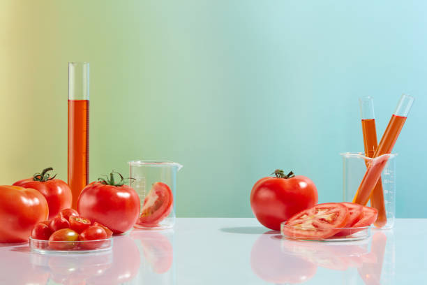 istock Plenty natural tomatoes featured on white table with laboratory glassware consist of measuring cylinder, test tube, petri dish and beaker. Blank space for advertising, front view 2151822609