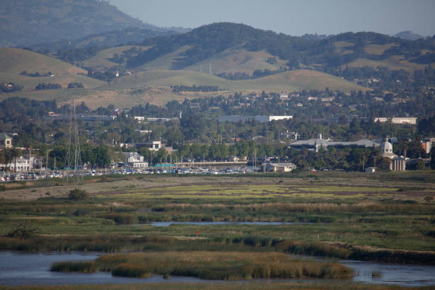 An image of the Suisun marshland, marina and the Suisun City city hall.