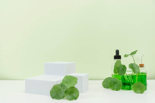 istock Gotu kula decorated in test tube and podium 2151824208