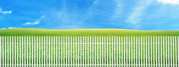 White picket fence, green grass, and a clear sky.