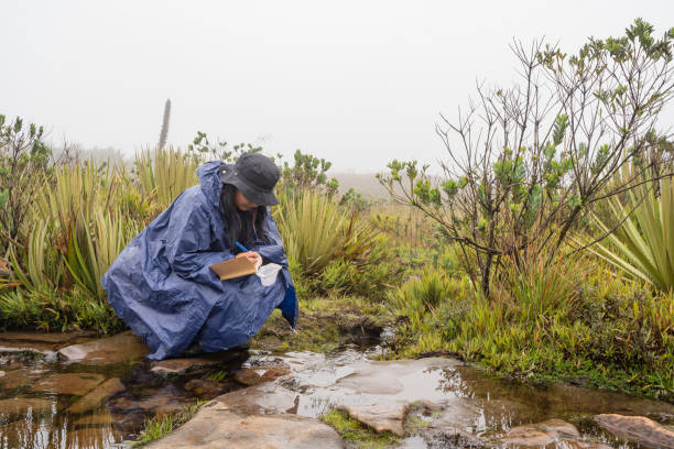 istock biologist woman taking samples from a river 2151826602