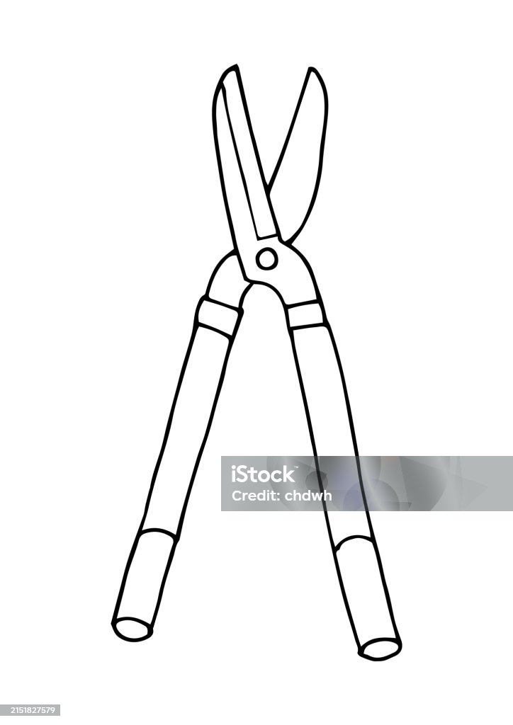 Shears Stock Image Pruning Shears Stock Illustration - Download Image Now - Branch - Plant ...