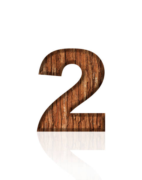 Close-up of three-dimensional tree bark number 2 on white background.