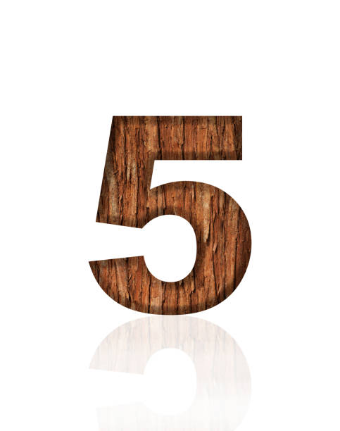 Close-up of three-dimensional tree bark number 5 on white background.