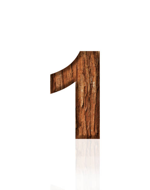 istock Isolated shot of three-dimensional tree bark number 1 on white background 2151828244