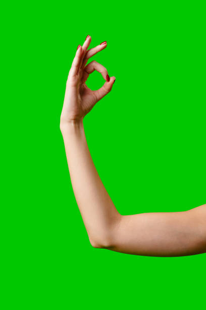 istock Womans Arm Hand Sign Raised in the Air 2151836657