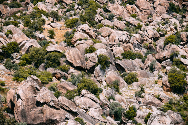 Volcanic Rocks on the Mountain