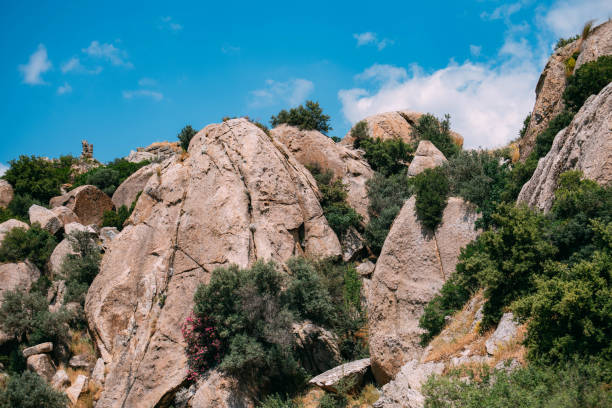 Volcanic Rocks on the Mountain