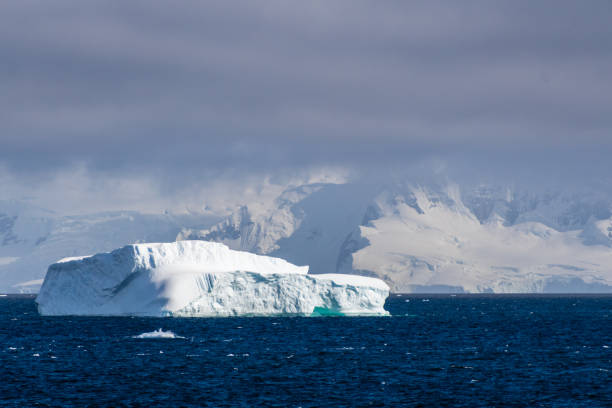 istock Icebergs near Graham passage 2151838041
