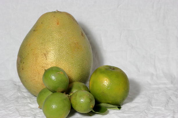 Pomelo isolated on white background with Clipping path, Fresh Red Pomelo citrus fruit with leaves on white background.