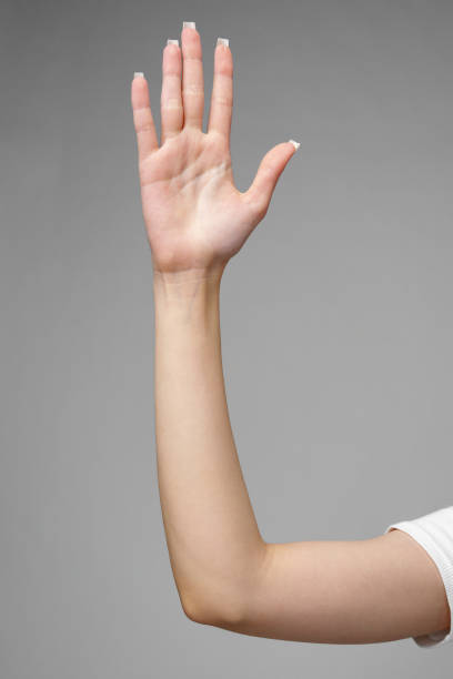 istock Female hand gesturing sign against gray background 2151841340