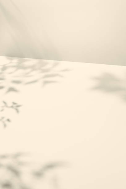 istock Light background with harsh shadows of tree branch. Aesthetic white background with empty place. Sepia toning backdrop. Nature and shadows sepia background Sepia poster with shadows 2151845868