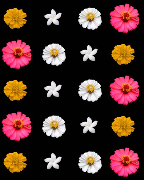istock Colorful spring flowers and leaves collection isolated on white background. Creative layout. Floral design element. Springtime and easter concept. Top view, flat lay 2151847094