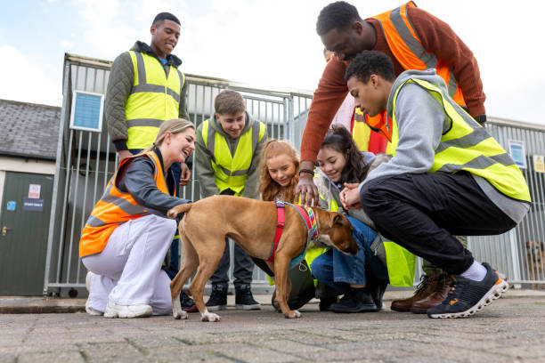 istock Volunteering with Dogs Waiting for Forever Homes 2151854282