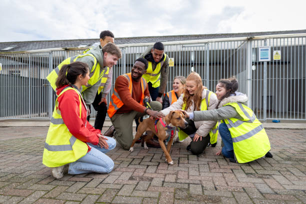 istock Animal Assisted Therapy at a Shelter 2151854350