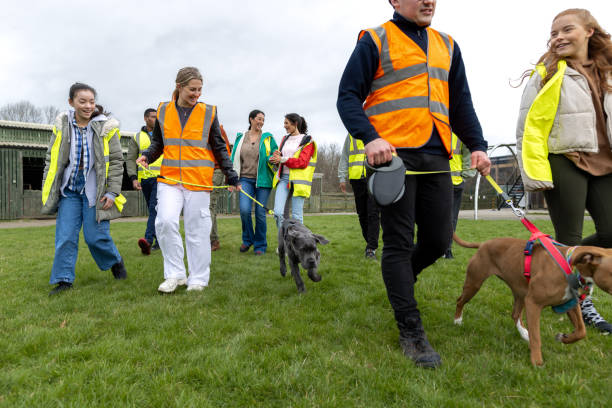 istock Dog Walking at the Shelter 2151854371