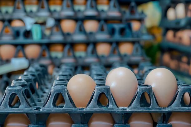 Background of fresh different colors of organic eggs