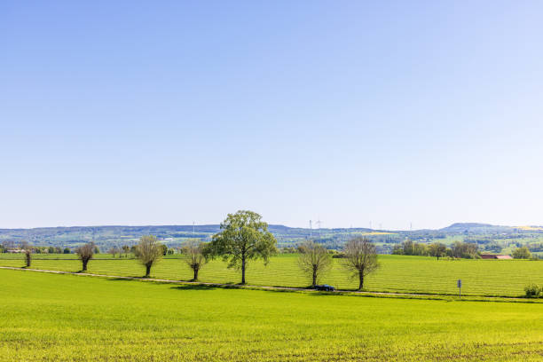 istock Tree lined country road with a driving car 2151855682