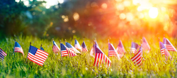 American Flags In Grass At Sunset With Defocused Abstract Background - Memorial Day