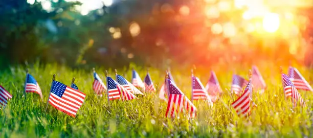 American Flags In Grass At Sunset - Memorial Day American Flags In Grass At Sunset - Memorial Day