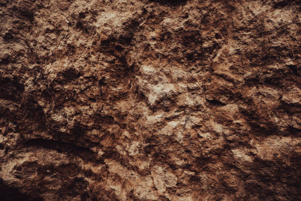 istock Soil or dirt Cross Section Close-up. Underground earth texture, cross section. Geological Layers. 2151863967