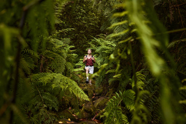 istock Young female hiker walking among greenery in nature. 2151864588