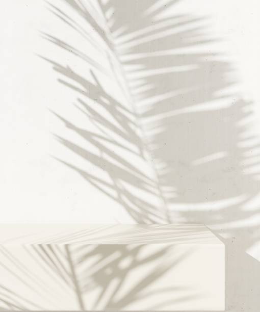 istock Blank minimal white counter podium, soft beautiful dappled sunlight, tropical palm foliage leaf shadow on wall 2151866811