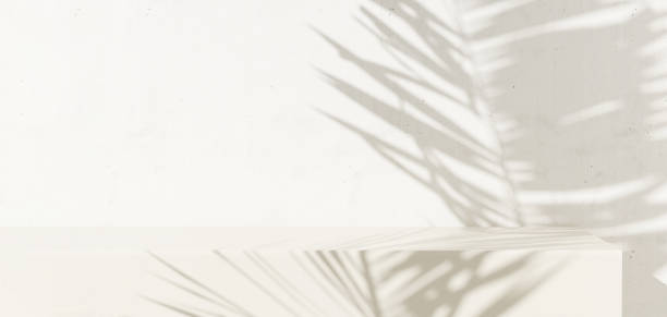 istock Blank minimal white counter podium, soft beautiful dappled sunlight, tropical palm foliage leaf shadow on wall 2151866814