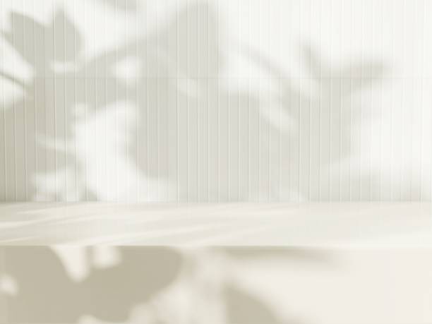 istock Blank minimal white counter podium, soft beautiful dappled sunlight, tropical foliage leaf shadow on cream tile wall 2151866826
