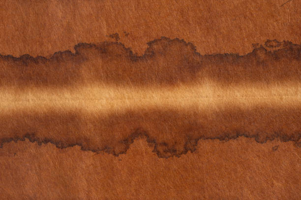 cardboard stained with food grease background
