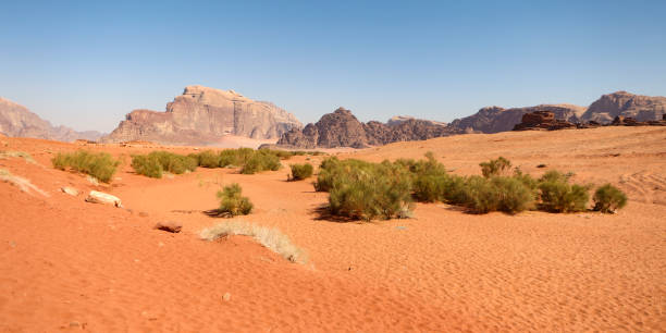 Landscape of Wadi Rum desert in Jordan.