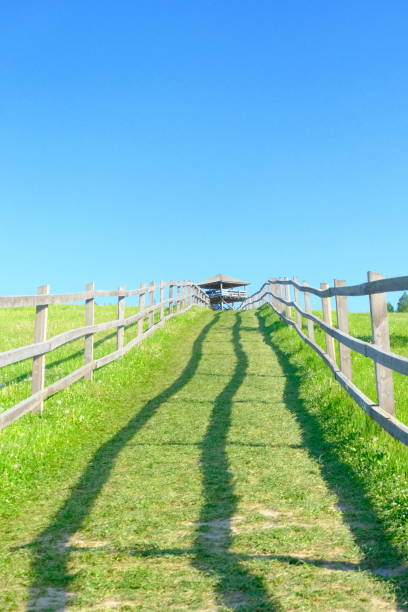 Along the picturesque horizontal line of the horizon stretches a long wooden fence, modest in its simplicity, yet intertwining the landscape like a delicate boundary between civilization and the wilderness of nature.