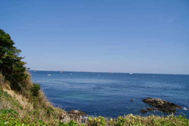 istock View of Tokyo Bay from Sarushima Park 2151873386