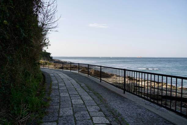 istock Coastal path in Kannonzaki Park at twilight 2151873468