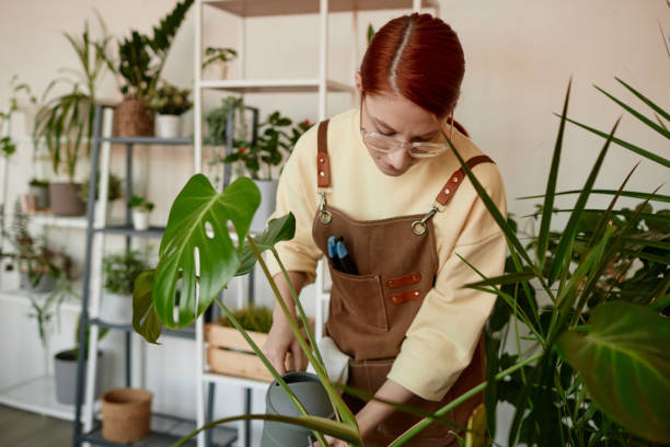 istock Red Haired Woman Caring for Plants 2151881304