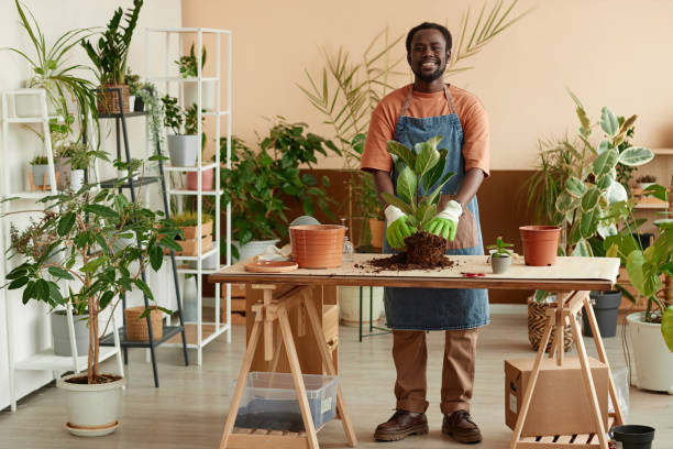 istock Smiling Black Man Repotting Plants 2151881320