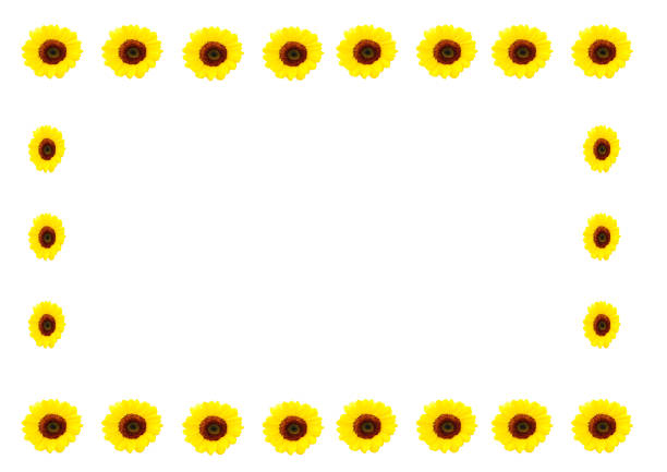 sunflower photo frame In the middle there is a space for design work.
