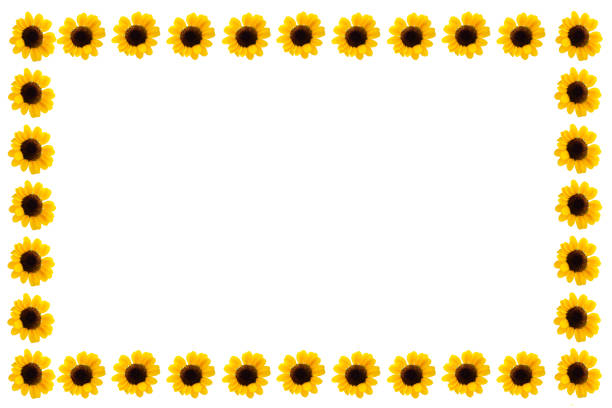 sunflower photo frame In the middle there is a space for design work.