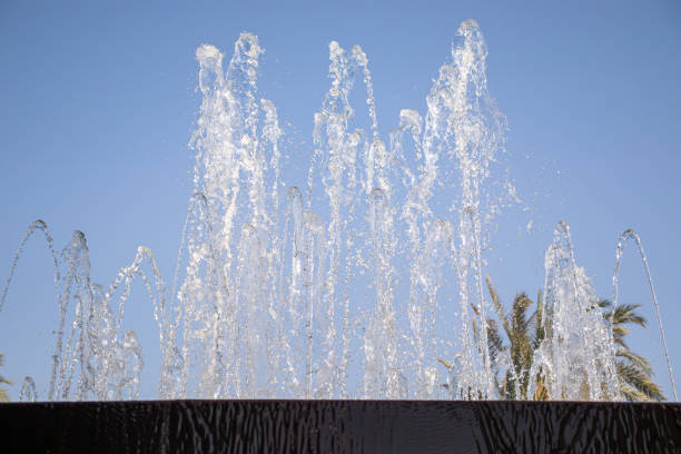 water fountain with palm tree in the background